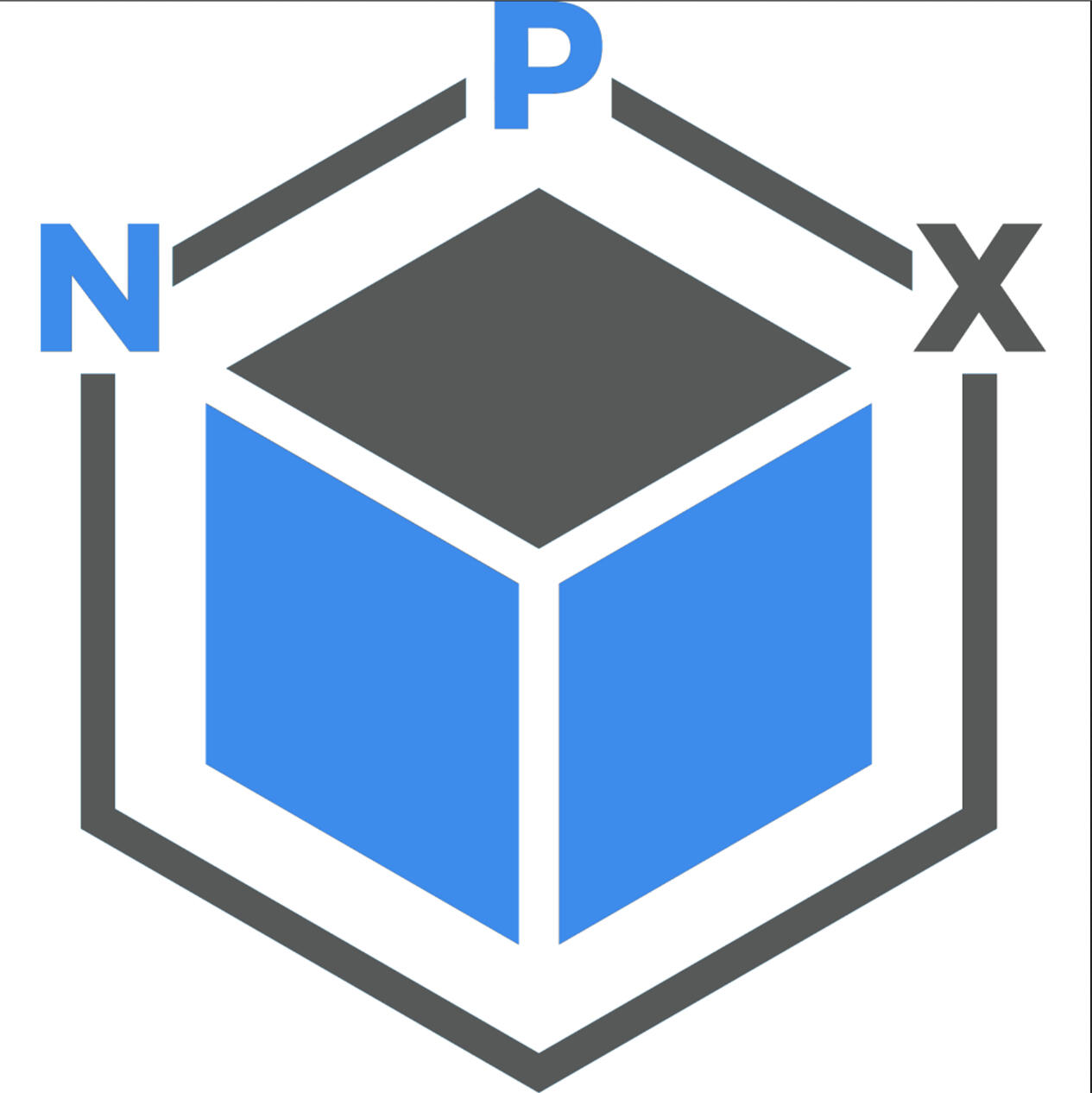 NPX Projects